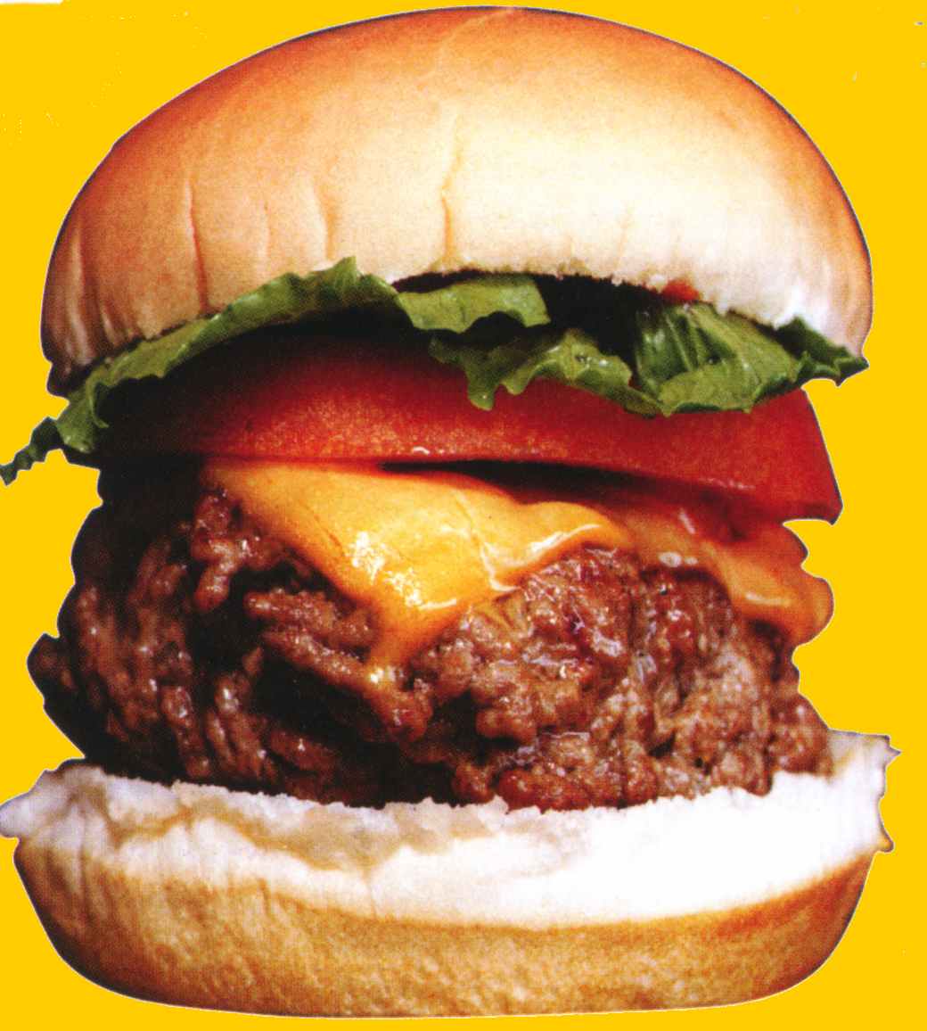 [hamburger+2.jpg]