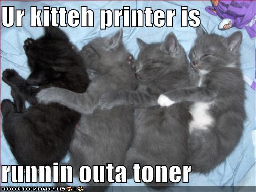 [funny-pictures-kitten-printer.jpg]