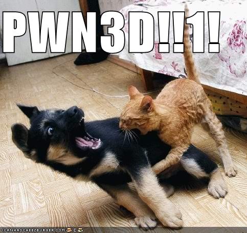 [funny-pictures-cat-pwns-dog.jpg]