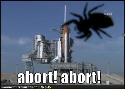 [funny-pictures-nasa-launch-abort-spider.jpg]