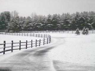 [snowy+day+007.jpg]