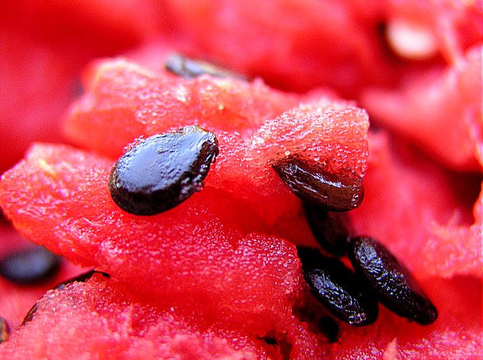 [APR___05___Watermelon_3_by_holly.jpg]