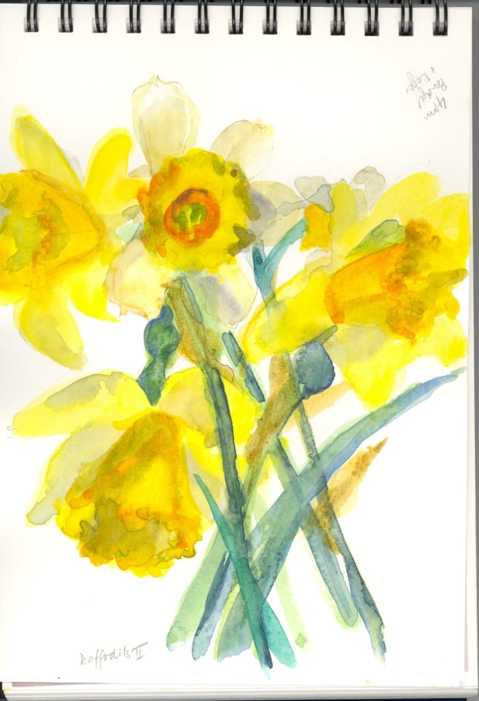 [Daffodils+2.jpg]
