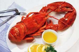 [lobster_1.jpg]