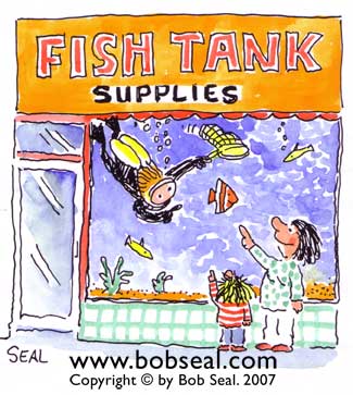 [fish_tank.jpg]