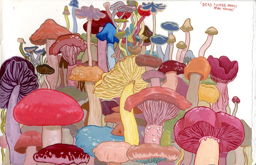 [mushroom+painting.jpg]