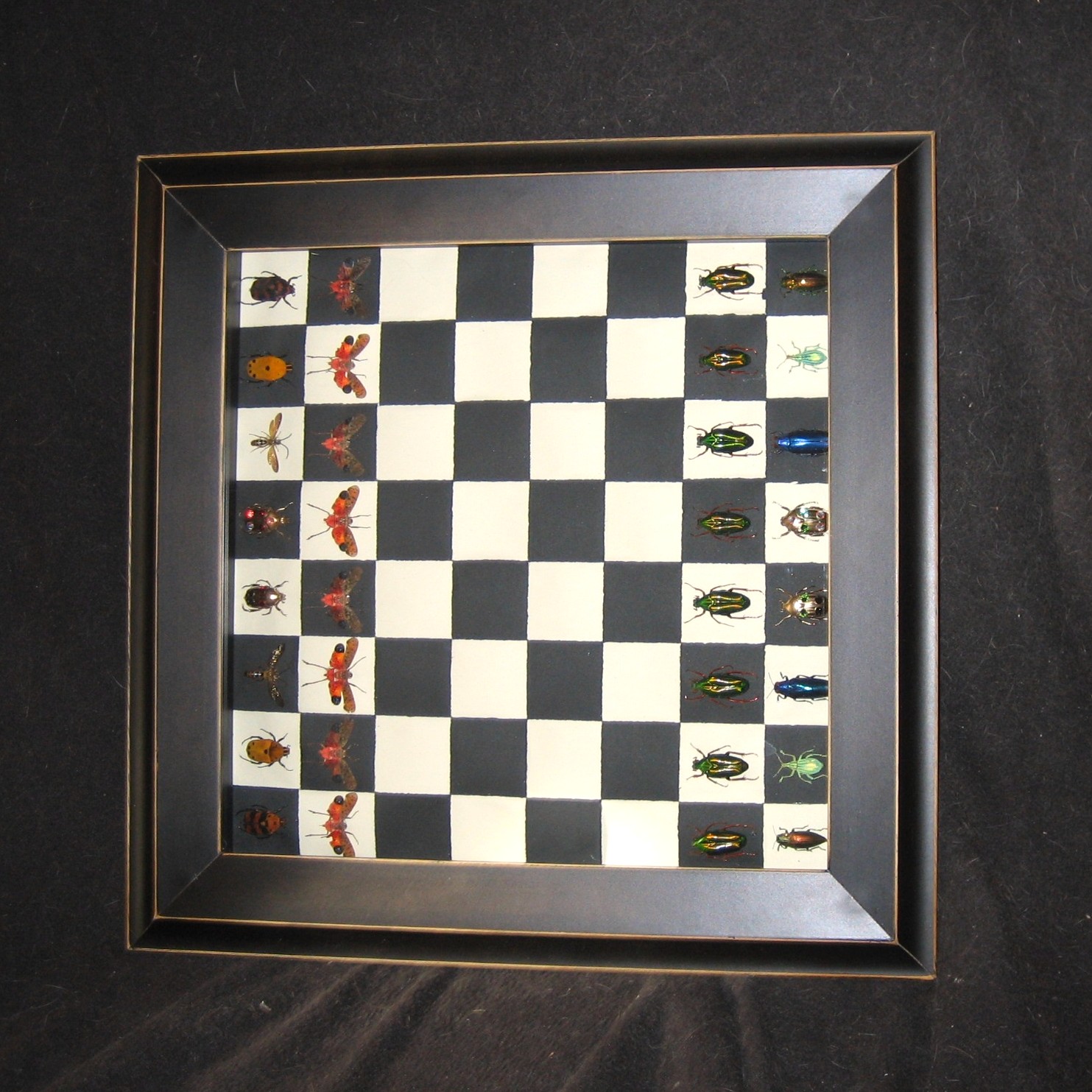 [6+Gallery+Bug+Chess+004.jpg]