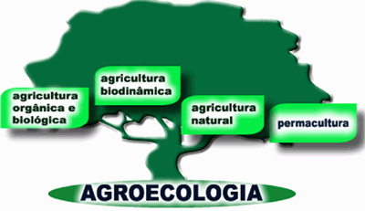 [agroecologia.gif]