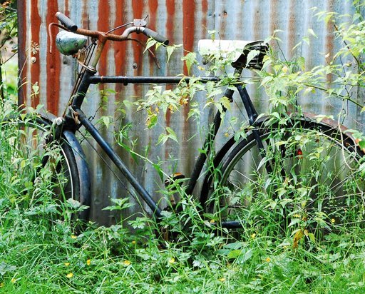 [bike+garden+blog.JPG]