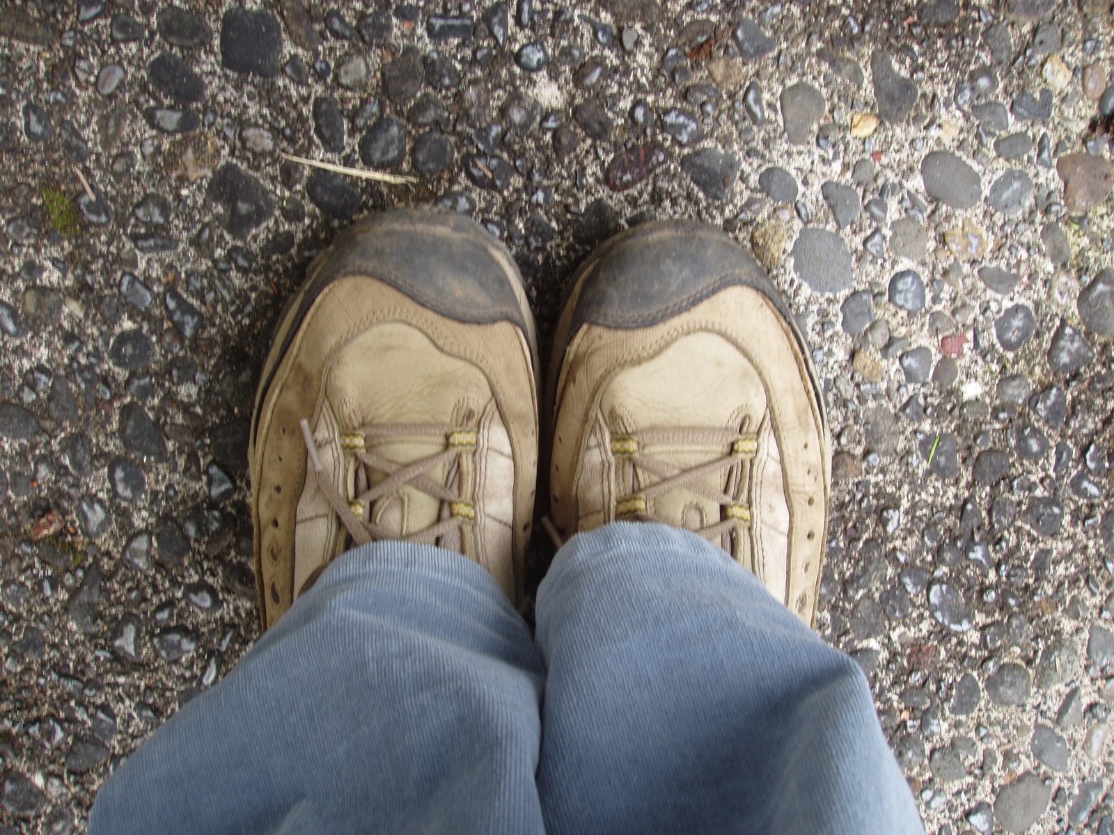 [Hiking+Boots.JPG]