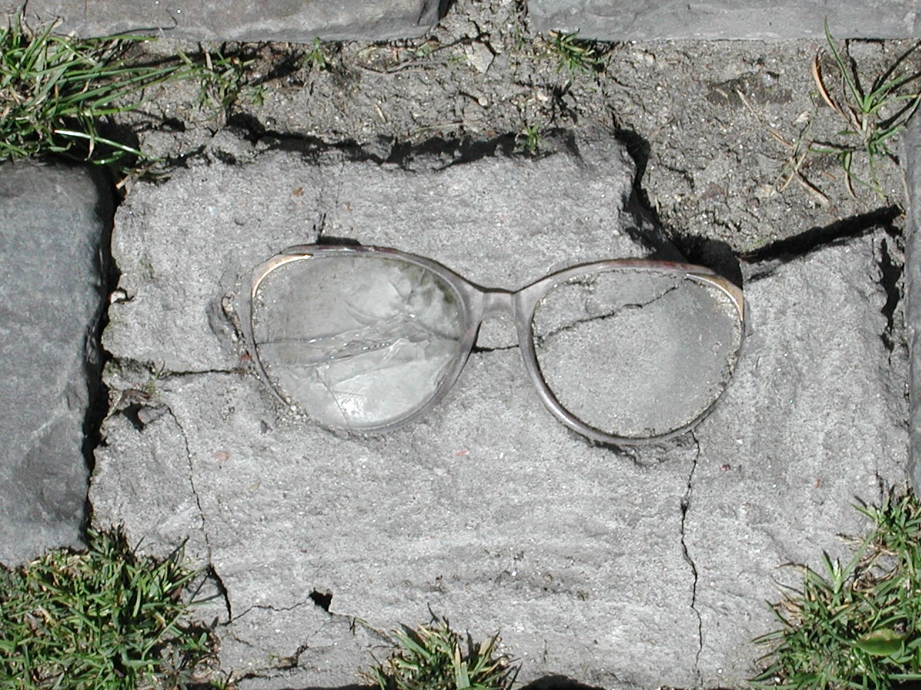 [glasses.JPG]