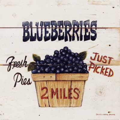 [3181~Blueberries-Just-Picked-Posters.jpg]