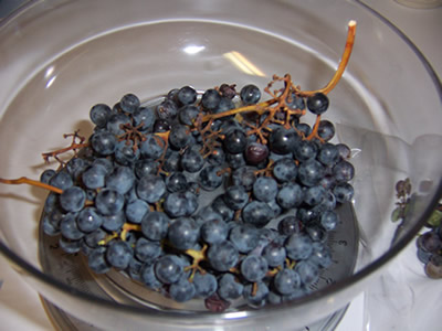 [grapes+used+in+the+starter.jpg]