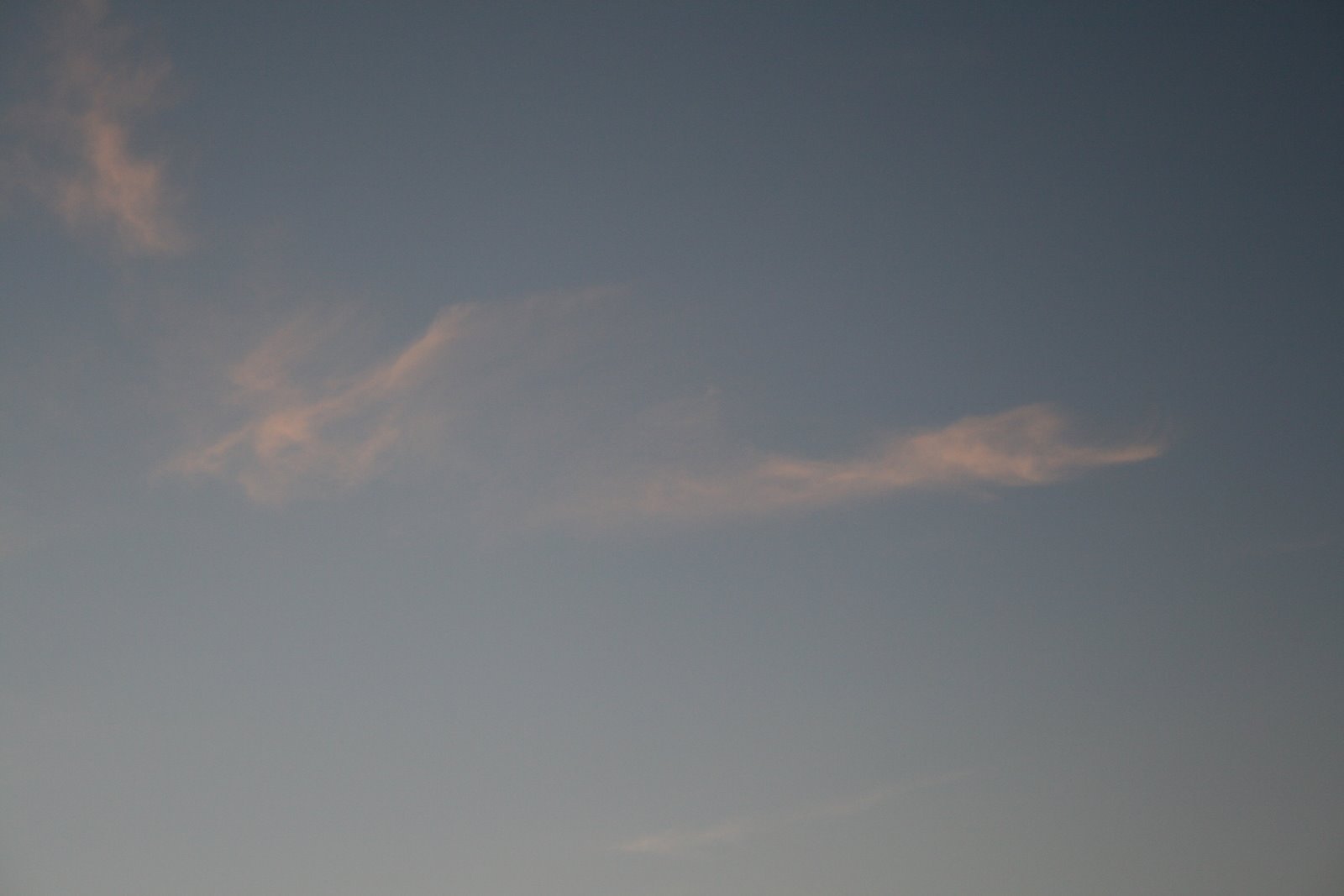 [birds+clouds+004.jpg]