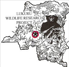 Click Picture to View Lukuru Wildlife Research Project Blog