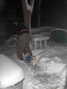 [8pm_Weds_shoveling_path_for_puppy.jpg]