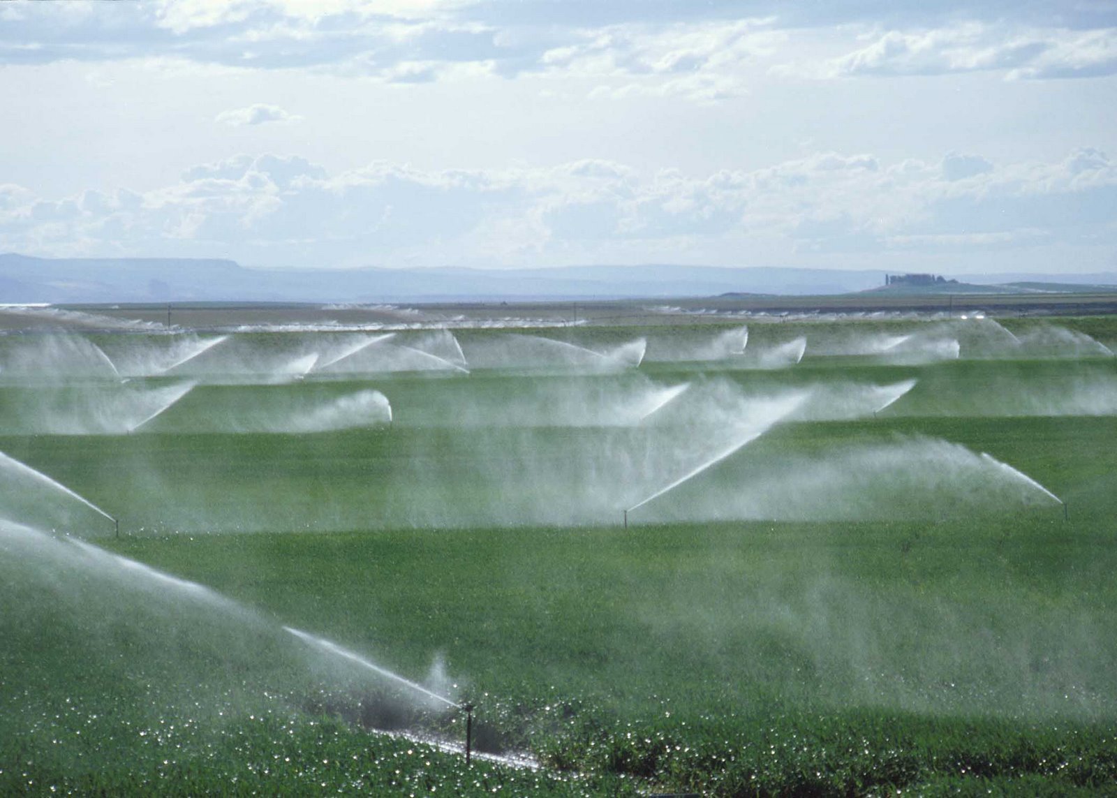 [spray+irrigation.jpg]