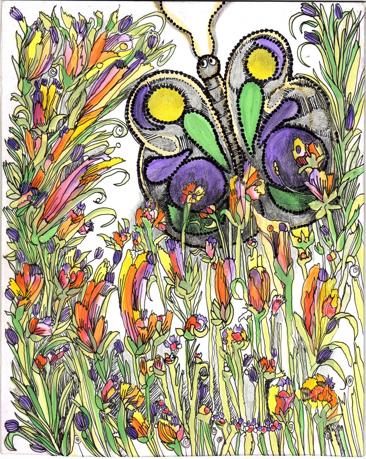 [Wild+flower's+butterfly.jpg]