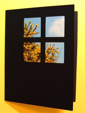 [black+window+four+pane+yellow+flowers.jpg]