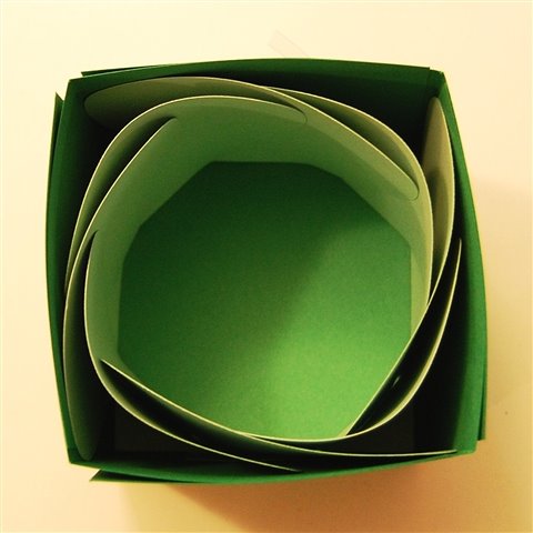[box+folded+up+ready+for+lid.jpg]