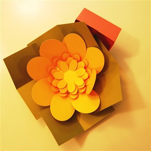 [flower+explosion+box+with+lid.jpg]