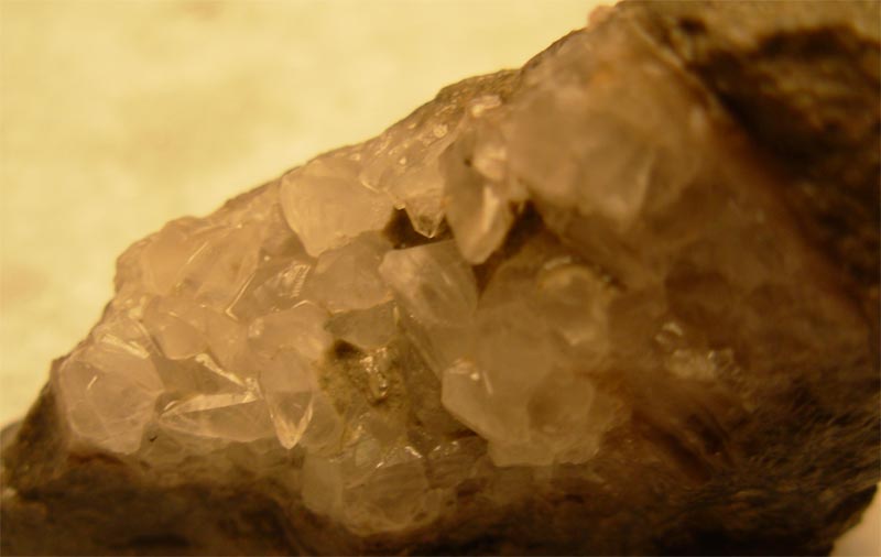 [quartz+brachiopod+from+btown+rd+05-16-08.jpg]