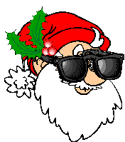 [santa_sunglasses.gif]