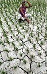 The Plight of Farmers