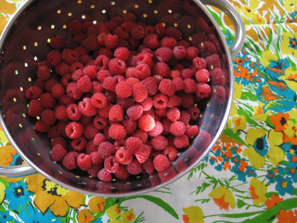 [Raspberries.jpg]