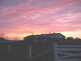 Sunset over the Dairy Farm we get our milk from