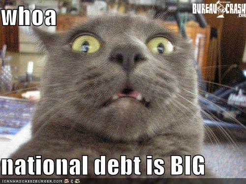 [national+debt+cat.jpg]