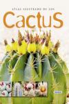 [atlas+cactus.php]