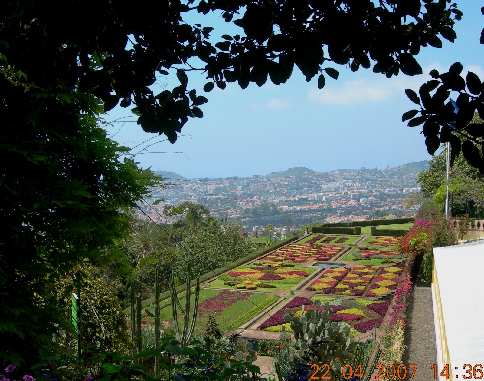 [Funchal+vu+du+jardin.jpg]