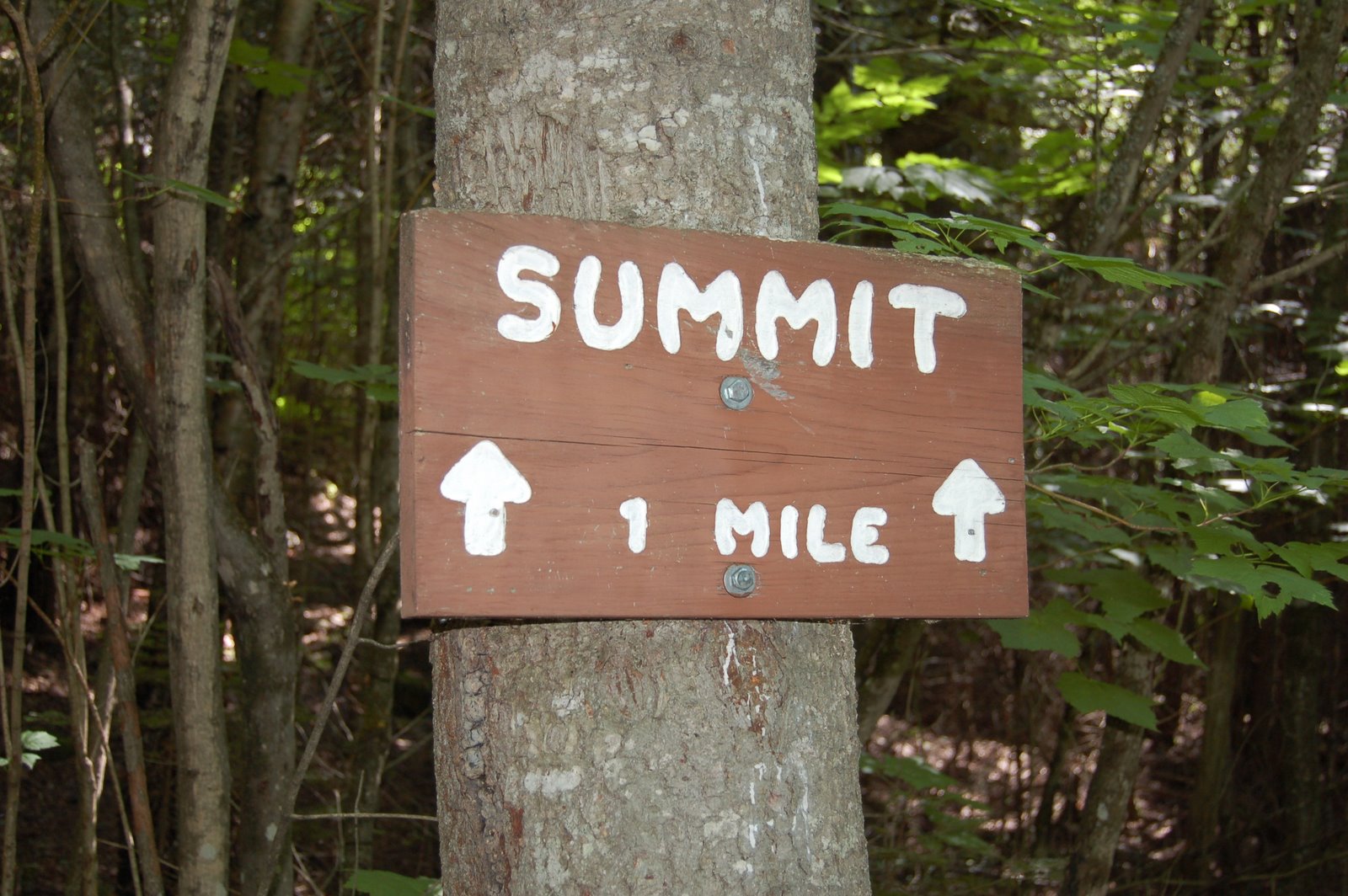 [MtJo+summit+sign.jpg]