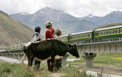 train tibetain
