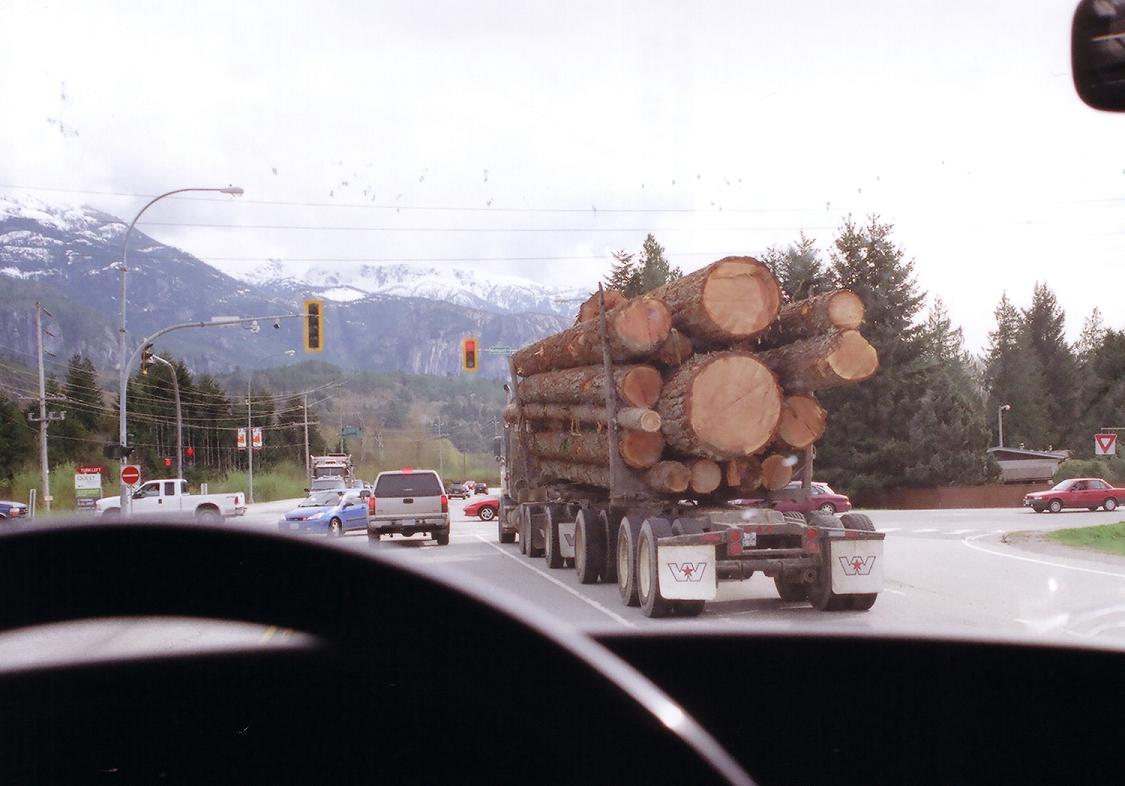 [Logging+Truck.jpg]
