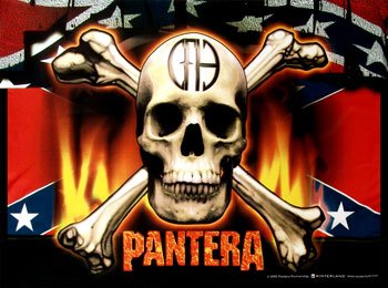 [Pantera---Flag-and-Skull-Poster-C10285664.jpeg]
