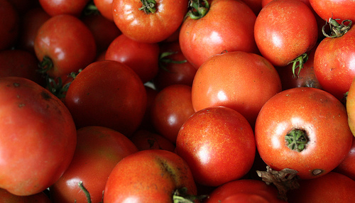 [327467405_1f205f5910vine-ripened+tomatoes.jpg]