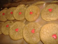 [tn_ginger+cookies.JPG]