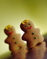 [gingerbread+cookie.jpg]