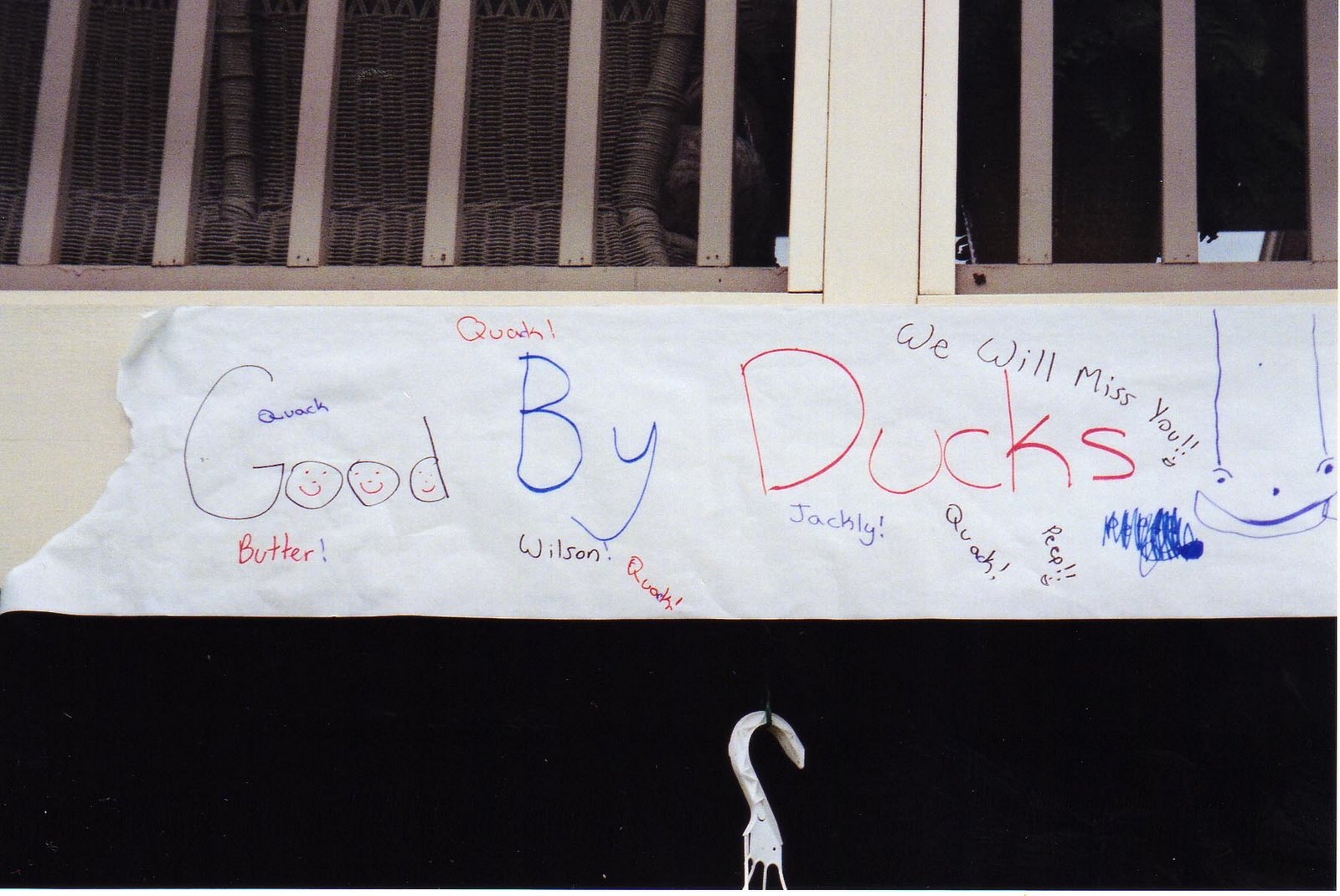 [ducks+sign.jpg]