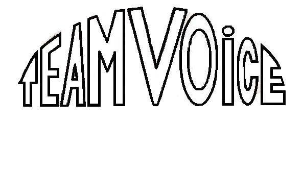 [Team+Voice+2.JPG]