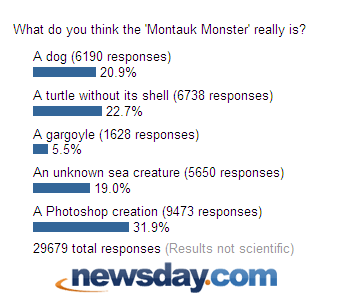 [newsday+poll.png]