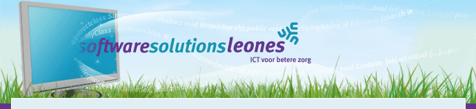 Software Solutions Leones