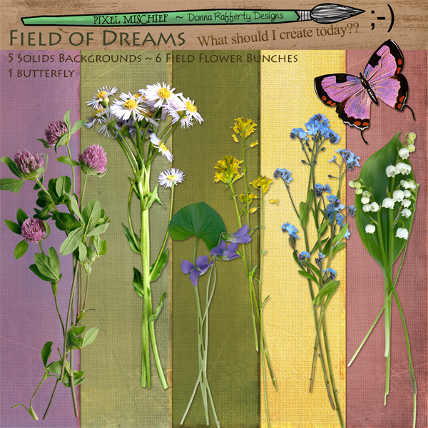 [Field+of+Dreams+Detail.jpg]