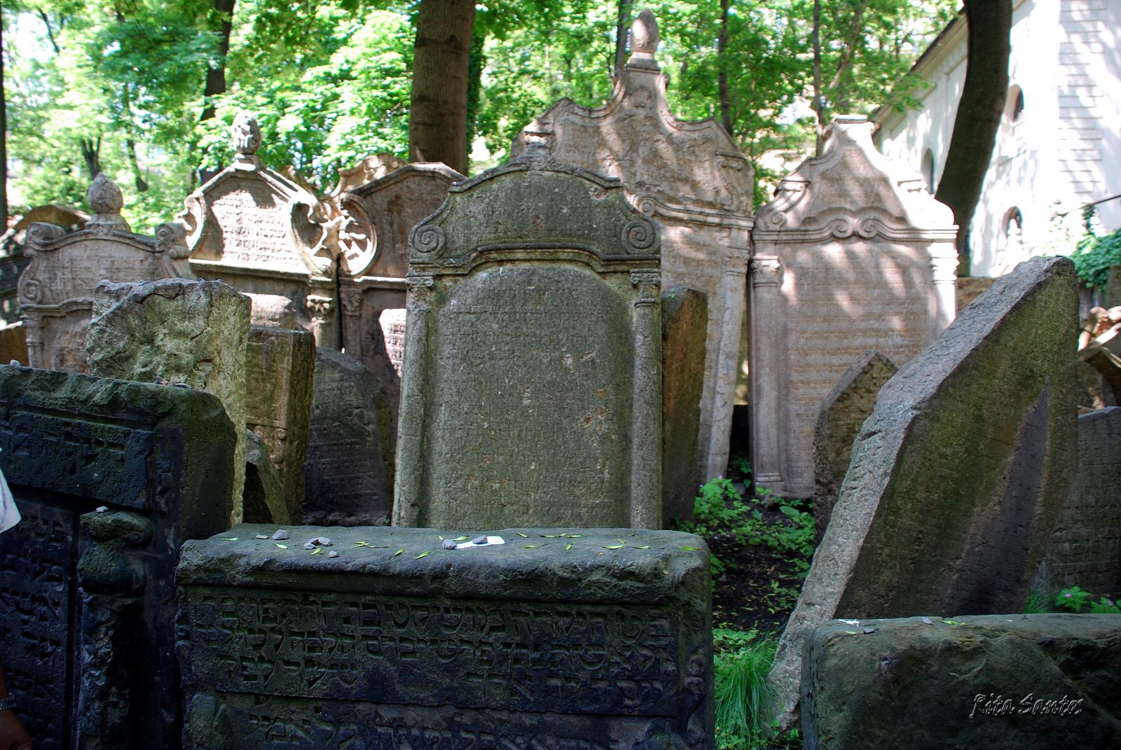 [cemiterio+judeu2008-05-25.jpg]