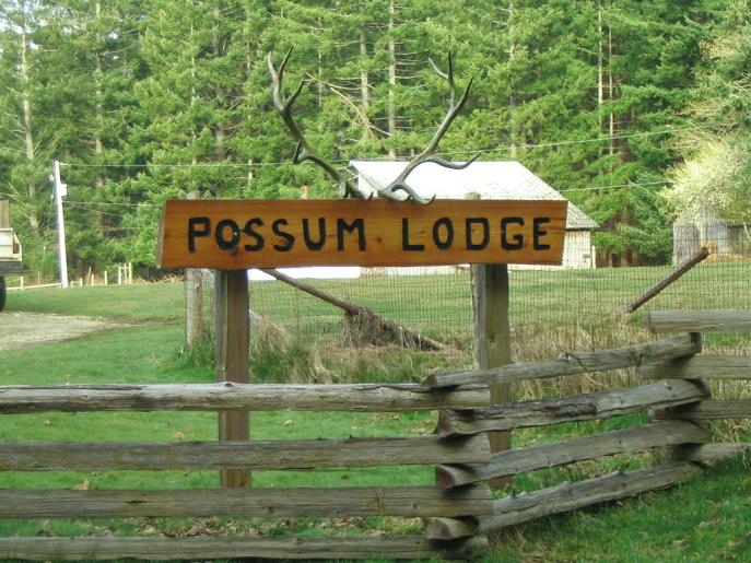 [possum+lodge.JPG]