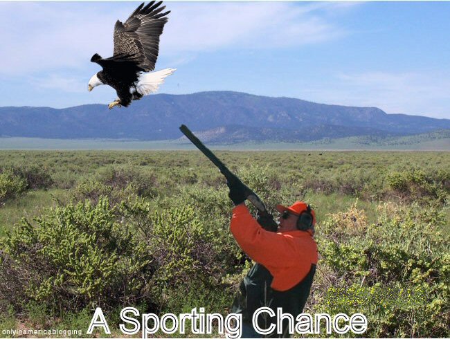 [A+sporting+Chance+2.jpg]
