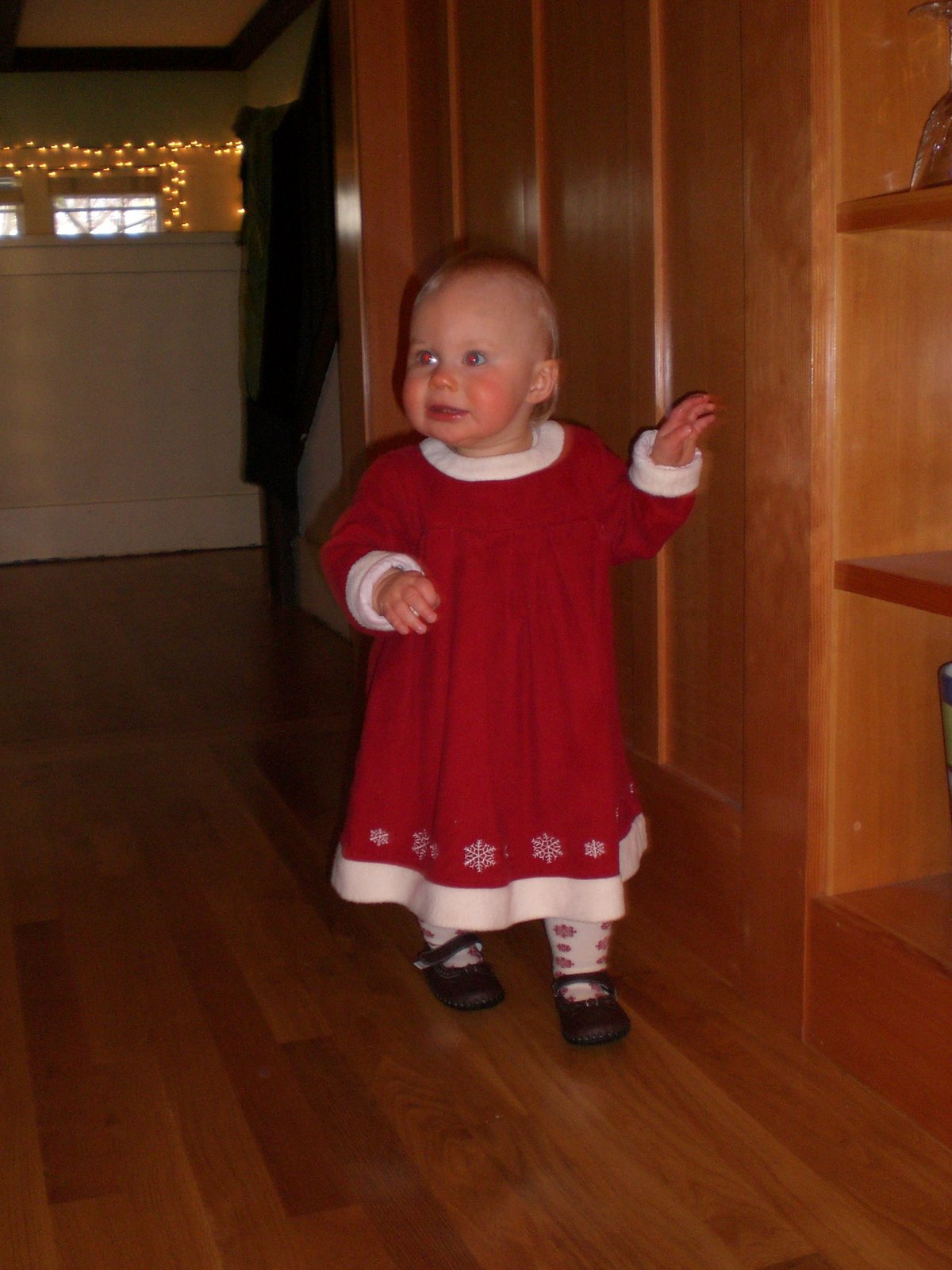 [PICT0056+Christmas+dress.JPG]