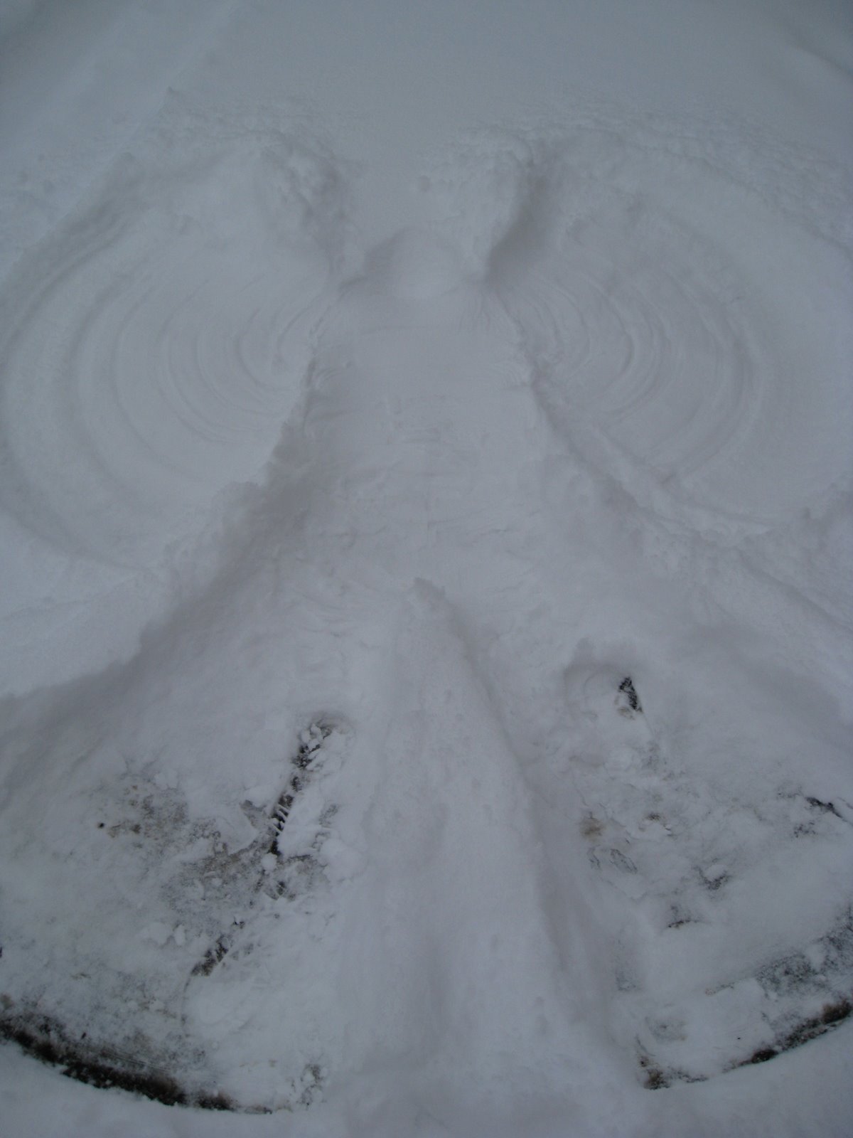 [IMG_0485+snow+angel.JPG]